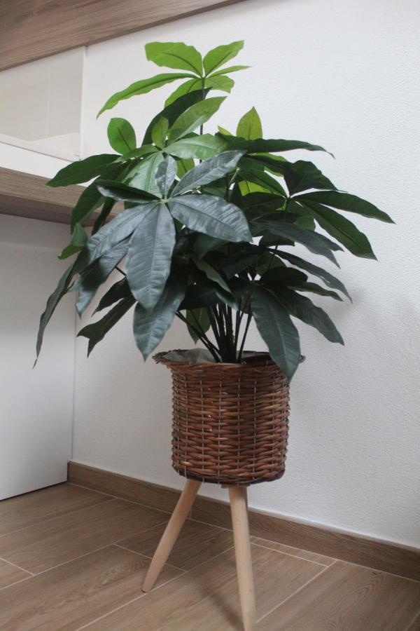Home Viale Trento 16 Cagliari Ngoại thất bức ảnh